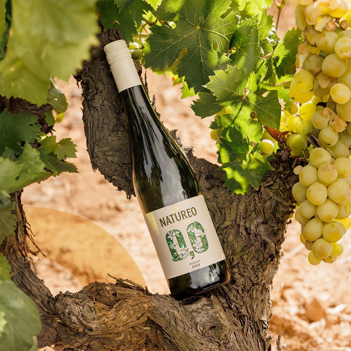 Natureo Taster Bundle, Case 4x75cl