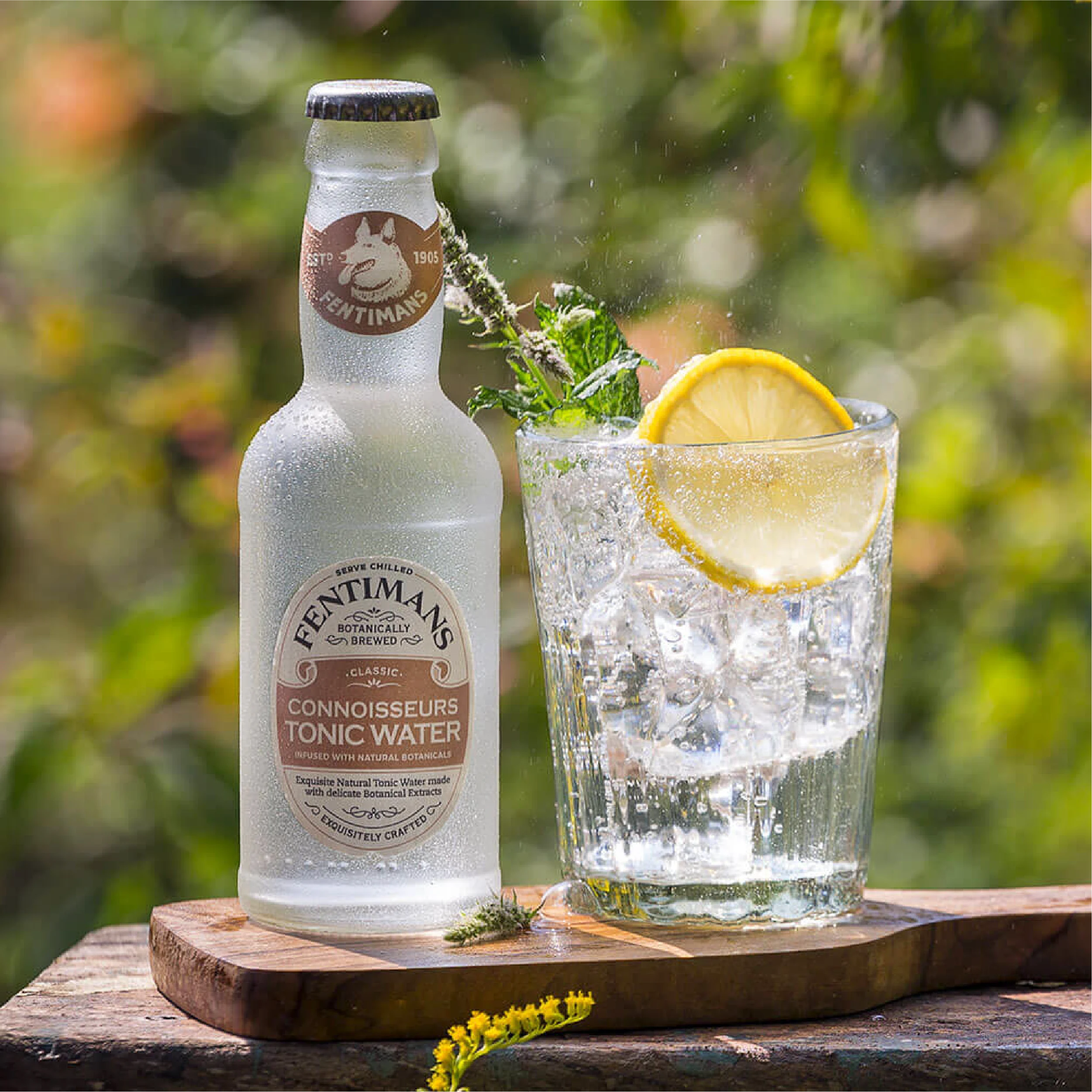 Fentimans Cannoisseurs Tonic Water, 12x200ml