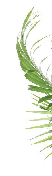 Decorative image