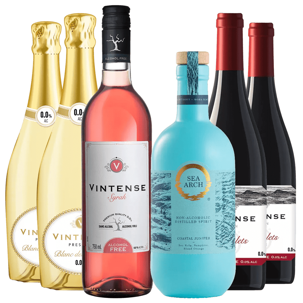 Vintense Wines and Sea Arch Coastal Juniper Taster Bundle, Mixed Case 6x70cl/75cl