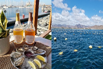 Drink Dry partners with Dibba Bay Oyster Festival to find the perfect pairing!