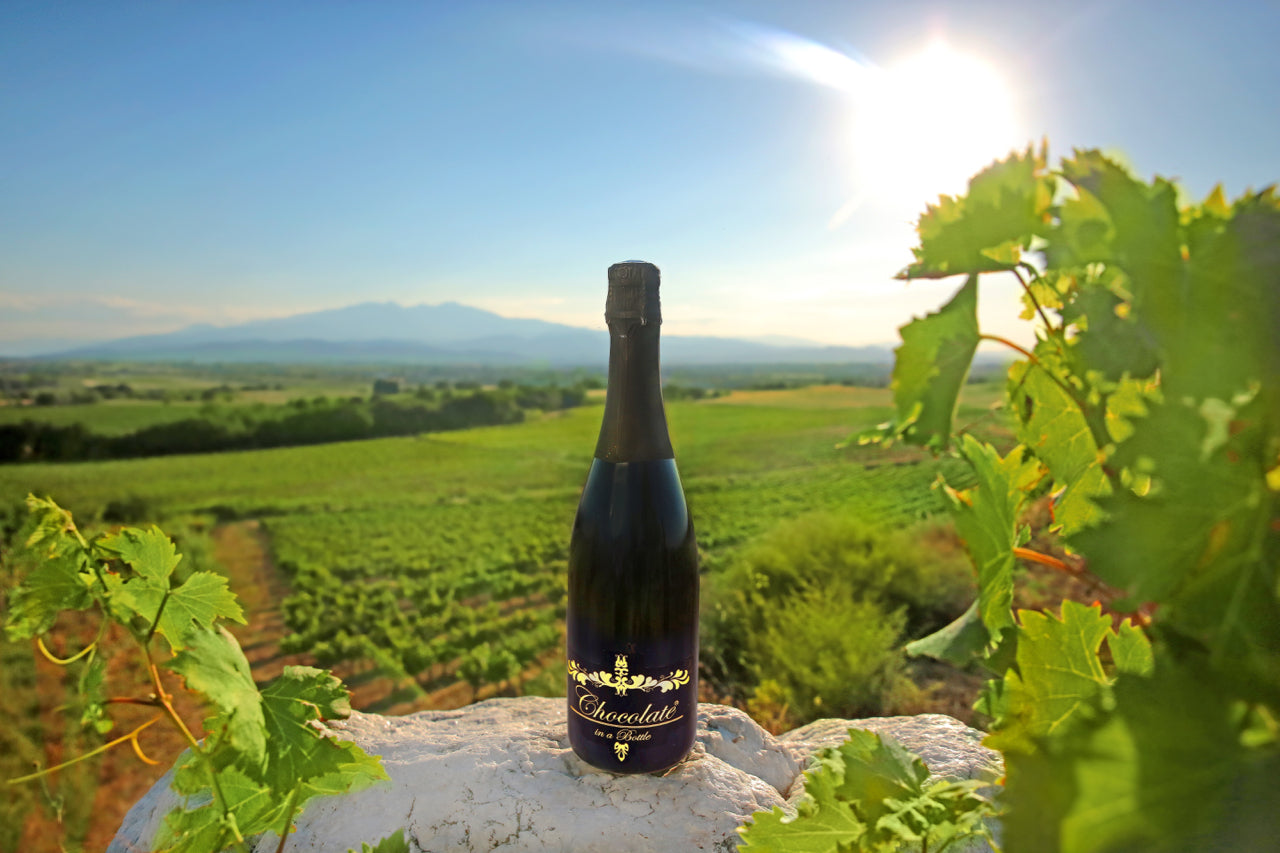 Popping the cork on our newest premium brand - Chocolate in a Bottle!