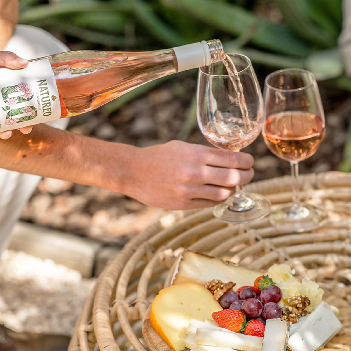 Natureo Taster Bundle, Case 4x75cl