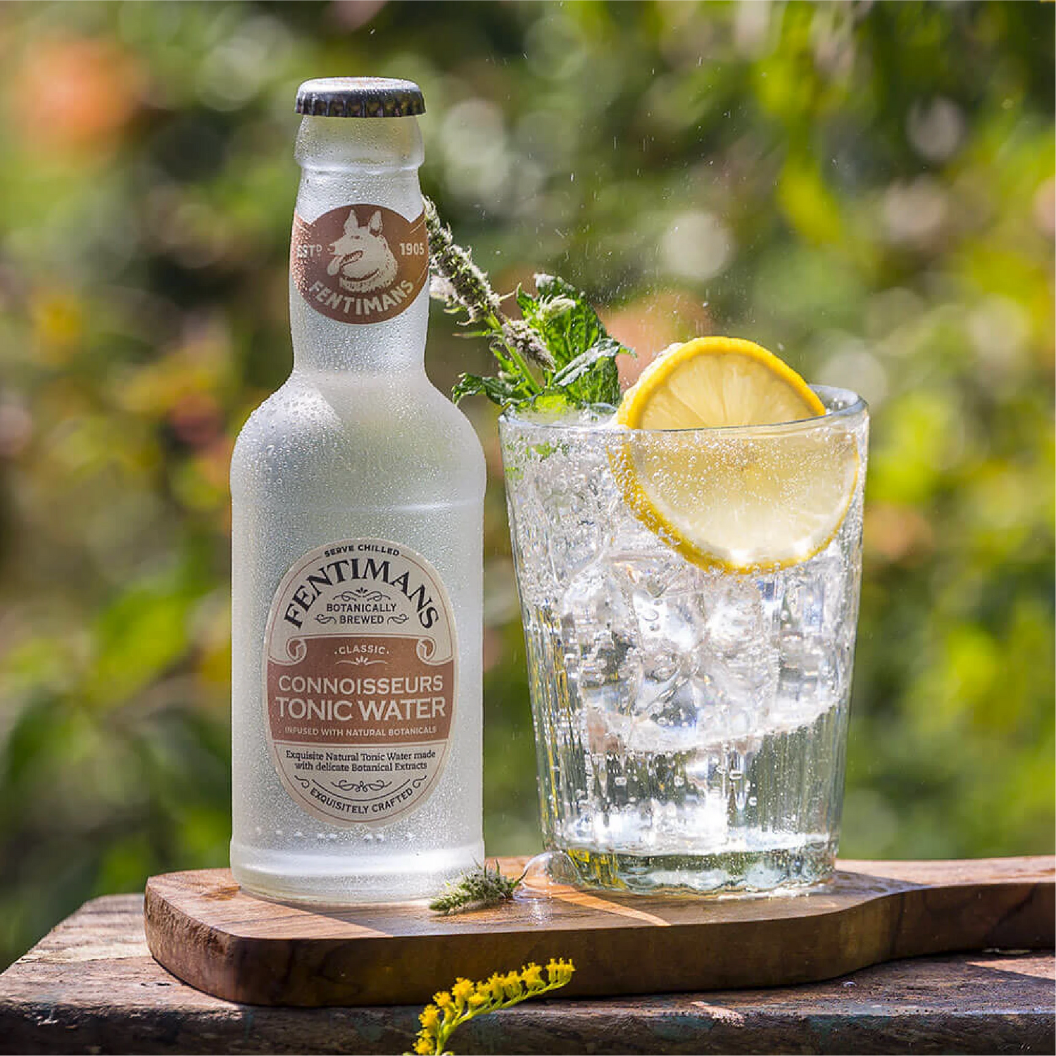 Fentimans Cannoisseurs Tonic Water, 12x200ml