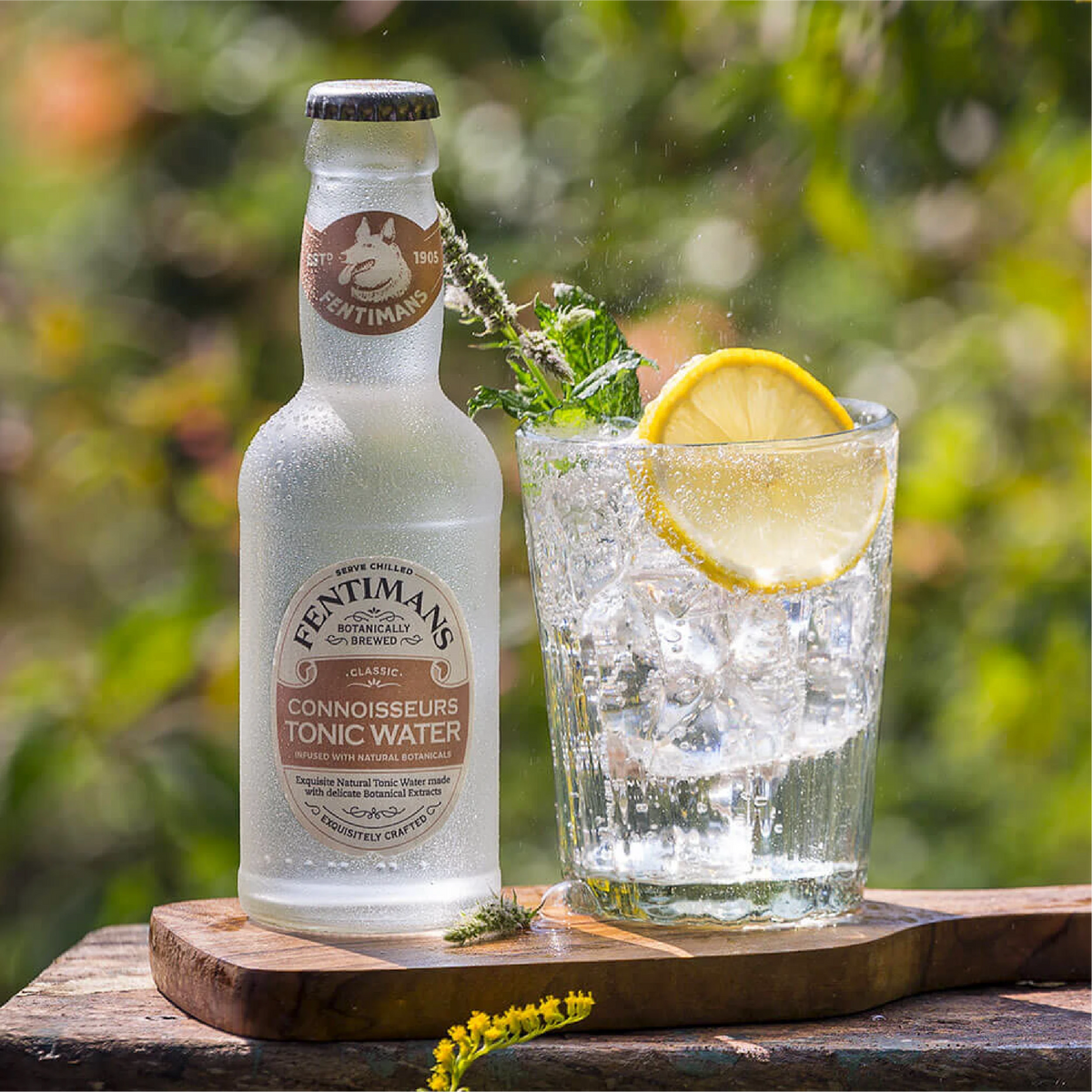 Fentimans Cannoisseurs Tonic Water, 12x200ml