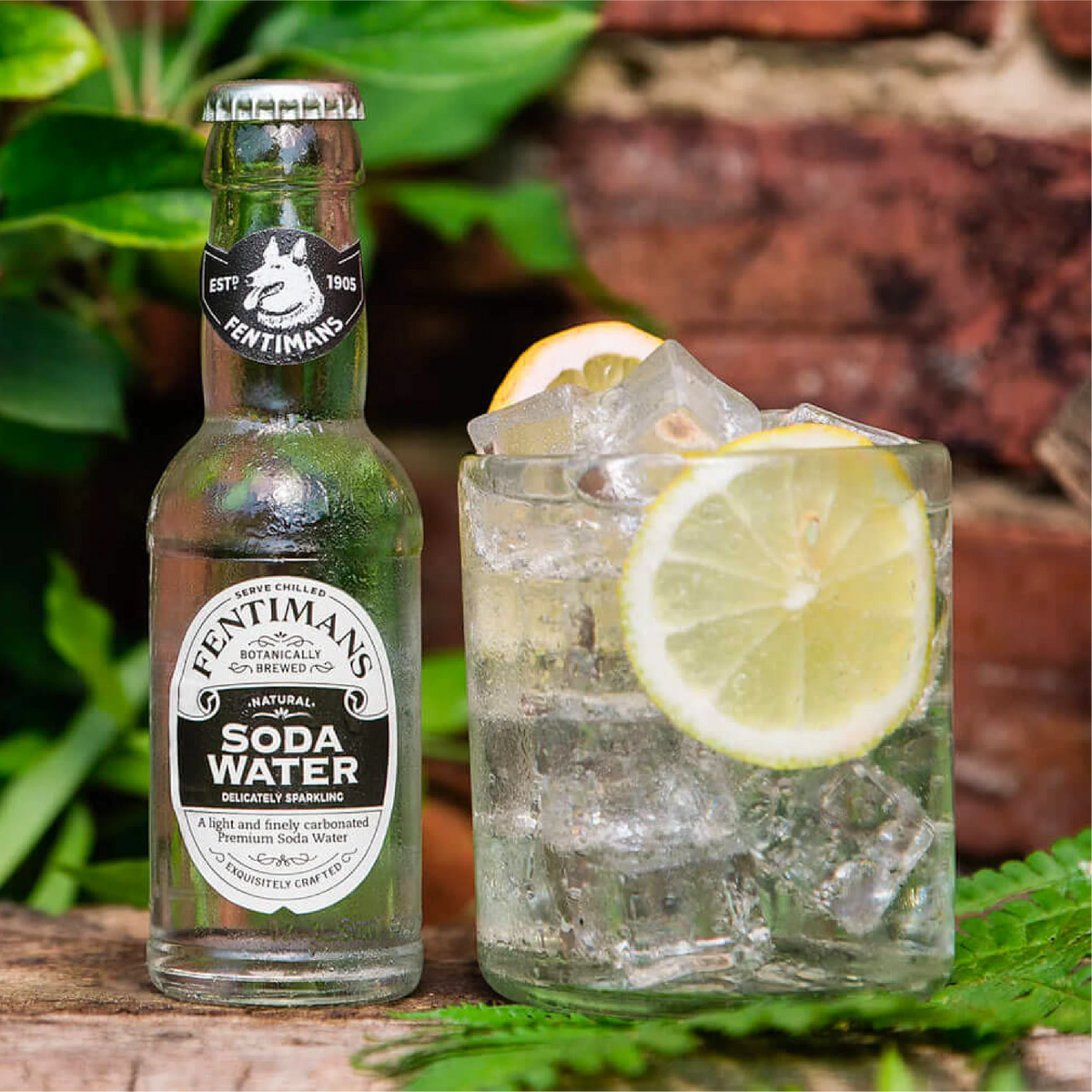 Fentimans Soda Water, 12x200ml