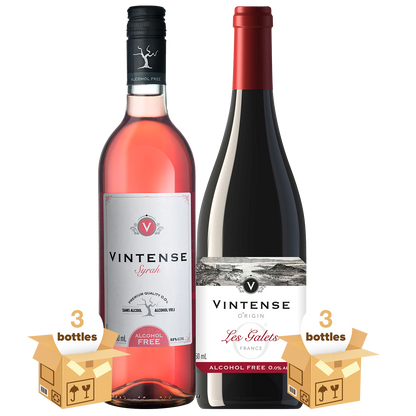 Vintense Still Wines Taster Bundle, Mixed Case 6x75cl