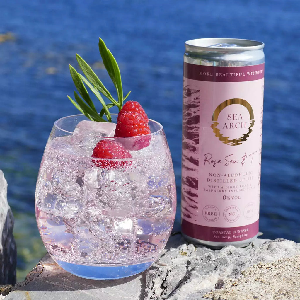 Sea Arch Rose Sea & T Non Alcoholic Gin & Tonic