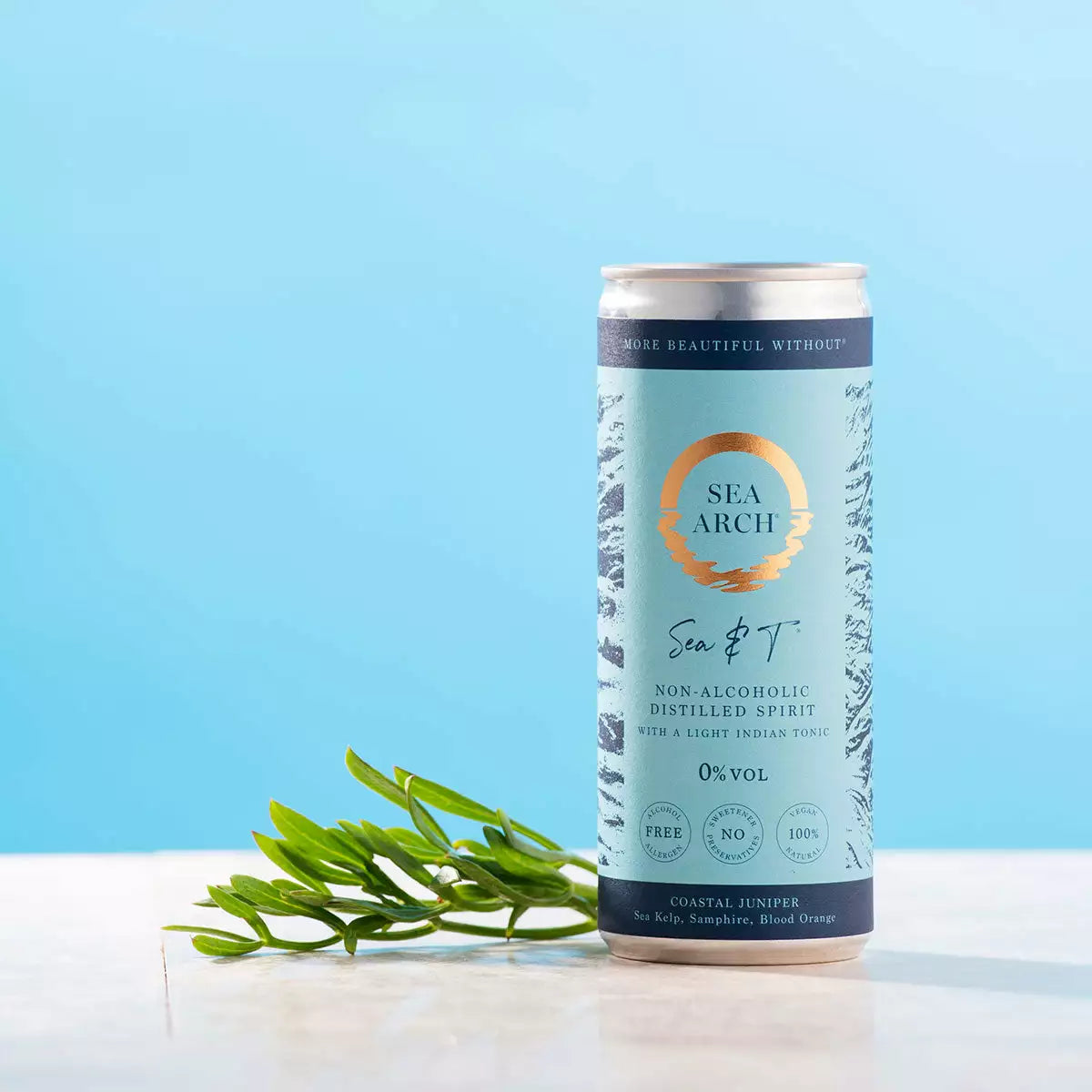 Sea Arch Sea &amp; T Non Alcoholic Gin &amp; Tonic