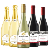 Vintense Wines Taster Bundle, Mixed Case 5x75cl